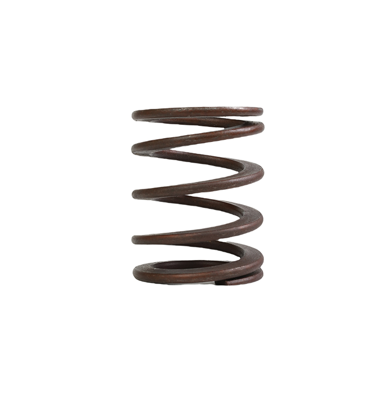 Alloy Steel Die Spring (Untreated)