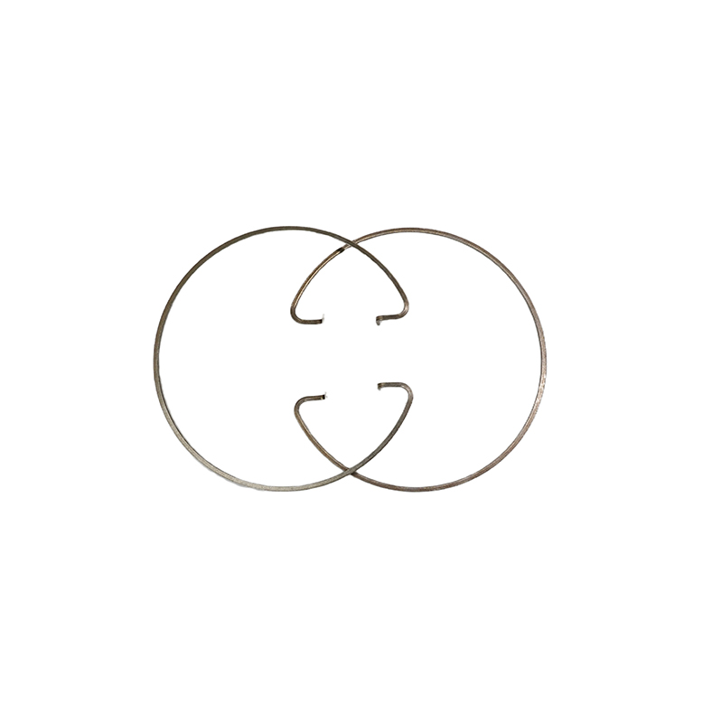 Custom Retaining Ring