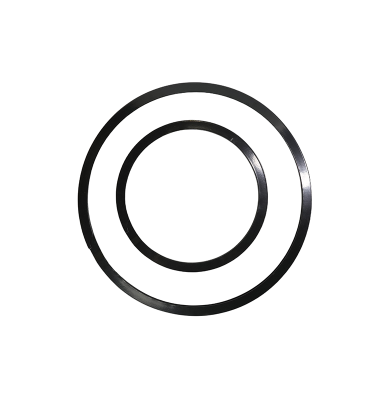 Double Lip Retaining Ring