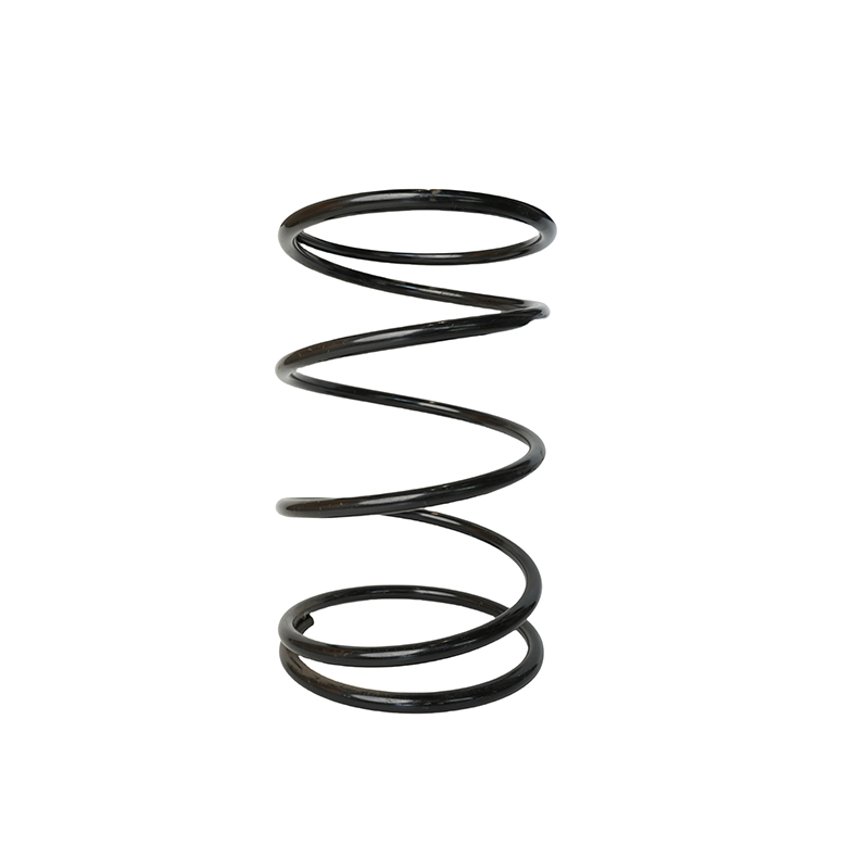 Conveyor Track Spring